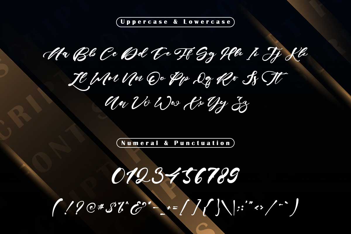 Erica Gavin Script Font - Image 9