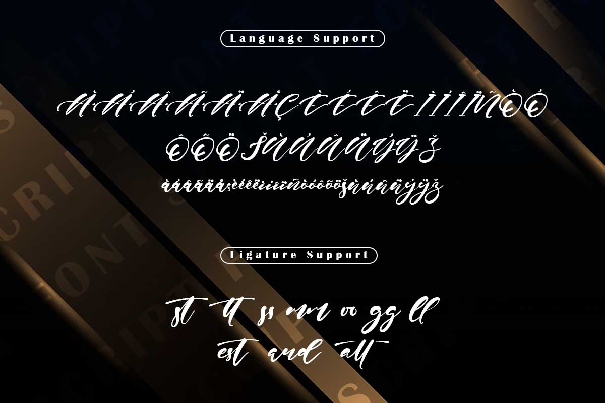 Erica Gavin Script Font - Image 10