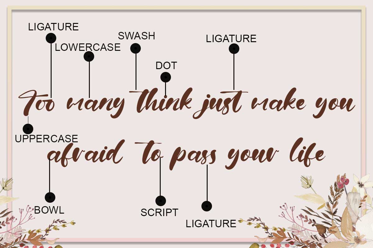 Fiona Brown Modern Script Font - Image 3