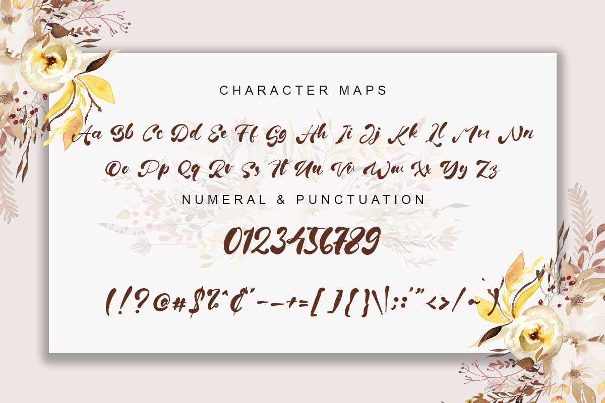 Fiona Brown Modern Script Font - Image 9