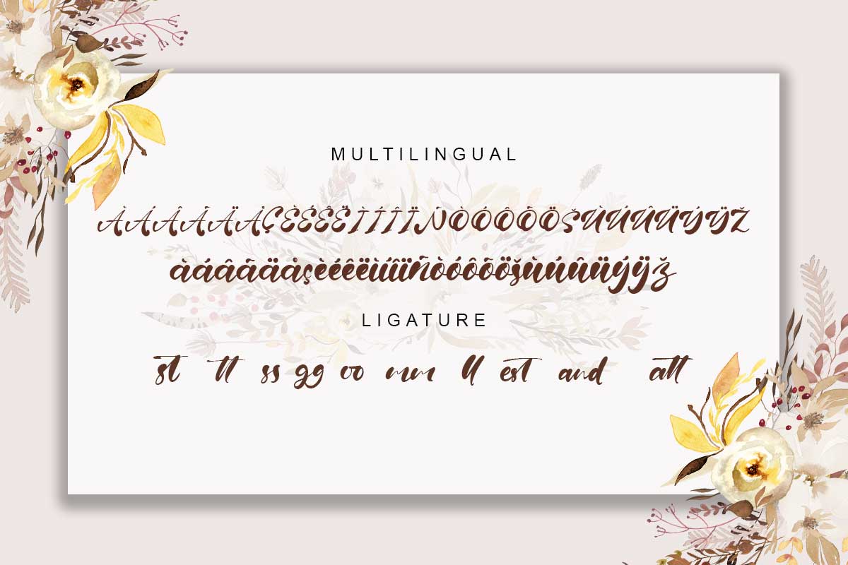 Fiona Brown Modern Script Font - Image 10