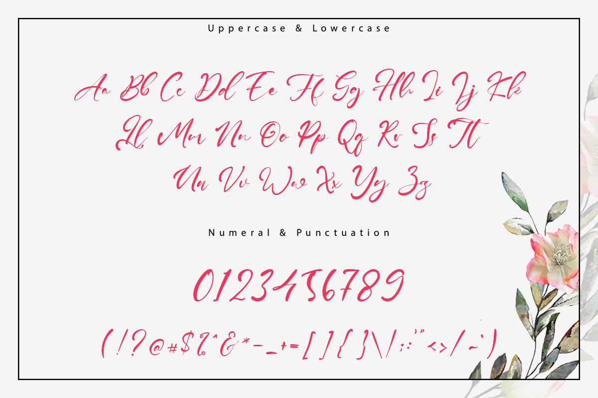 Gallagher Modern Script Font - Image 9