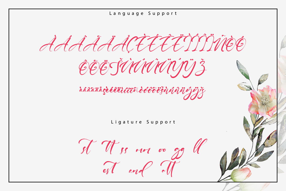 Gallagher Modern Script Font - Image 10