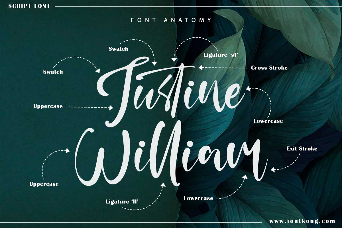 Gloria Martin Calligraphy Script Font - Image 3