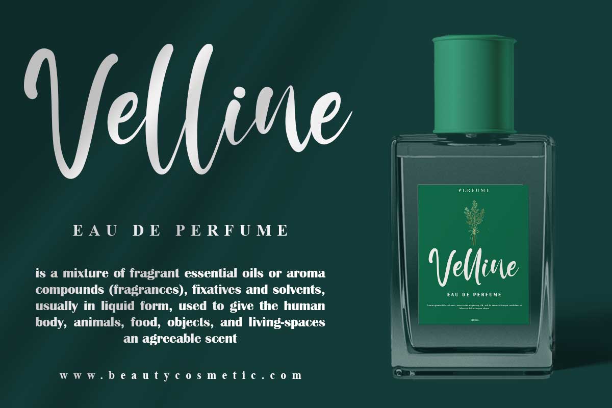 Gloria Martin Calligraphy Script Font - Image 7