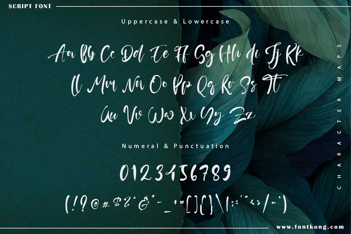 Gloria Martin Calligraphy Script Font - Image 9