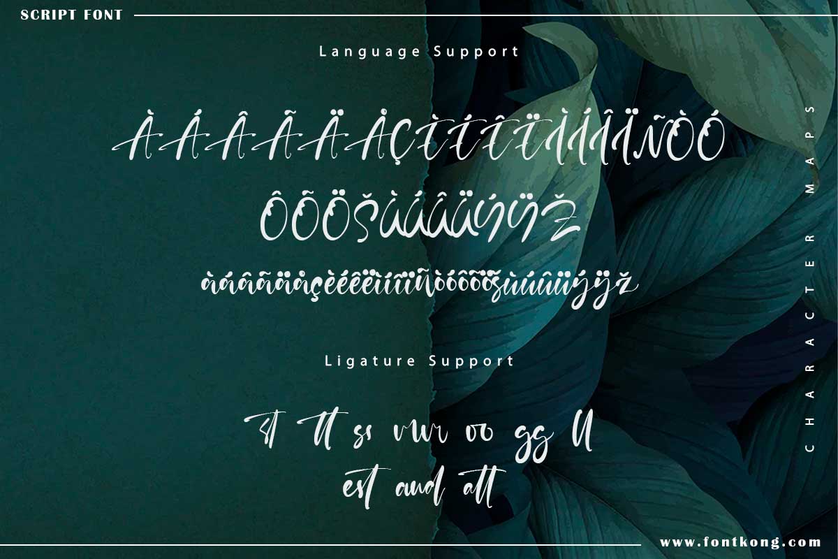 Gloria Martin Calligraphy Script Font - Image 10