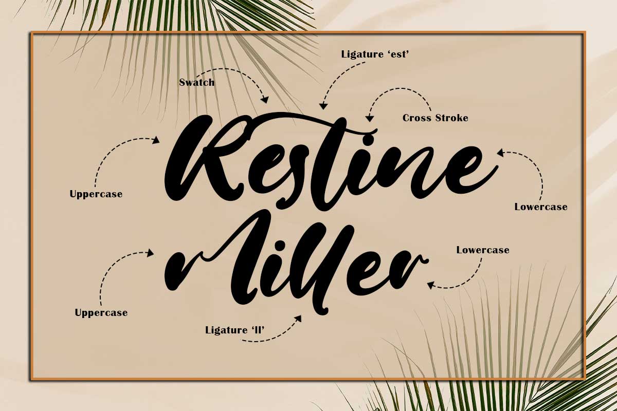 Jane Hans Modern Font - Image 3