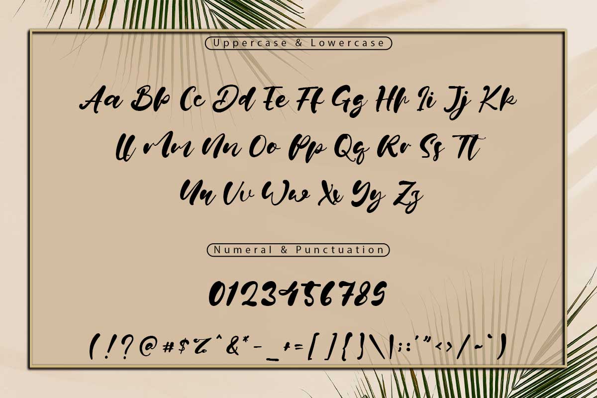 Jane Hans Modern Font - Image 9