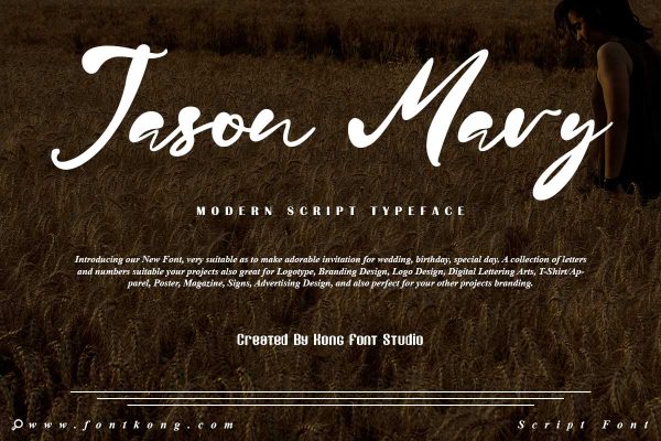 Jason Mary Modern Script Font - Image 2