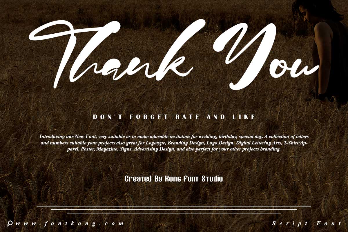 Jason Mary Modern Script Font - Image 11