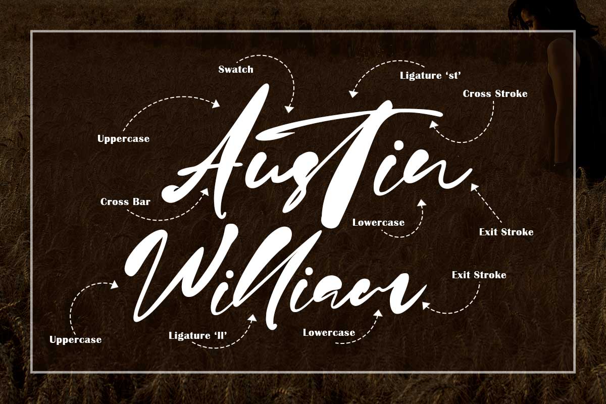 Jason Mary Modern Script Font - Image 3