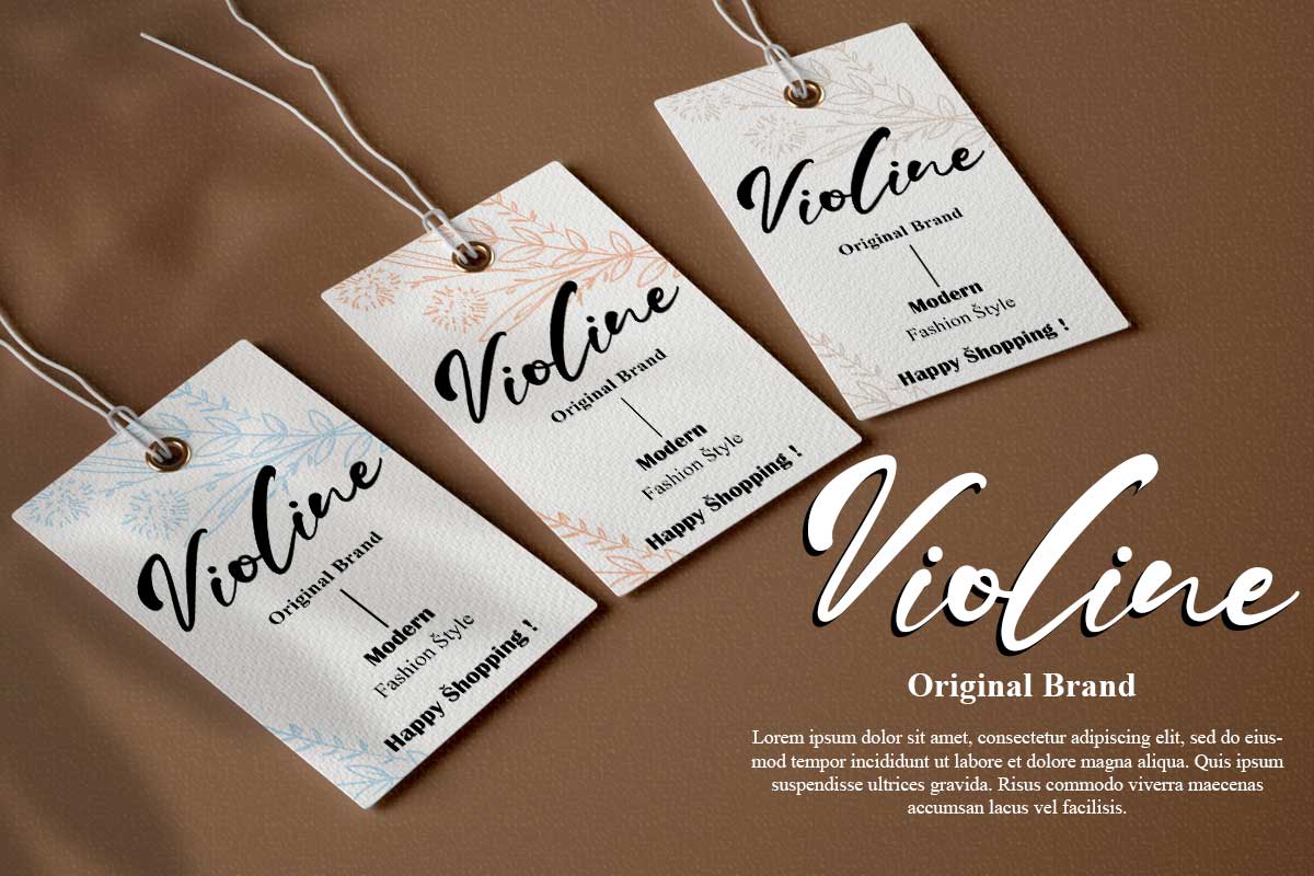 Jason Mary Modern Script Font - Image 6