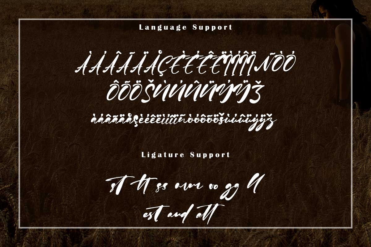 Jason Mary Modern Script Font - Image 10