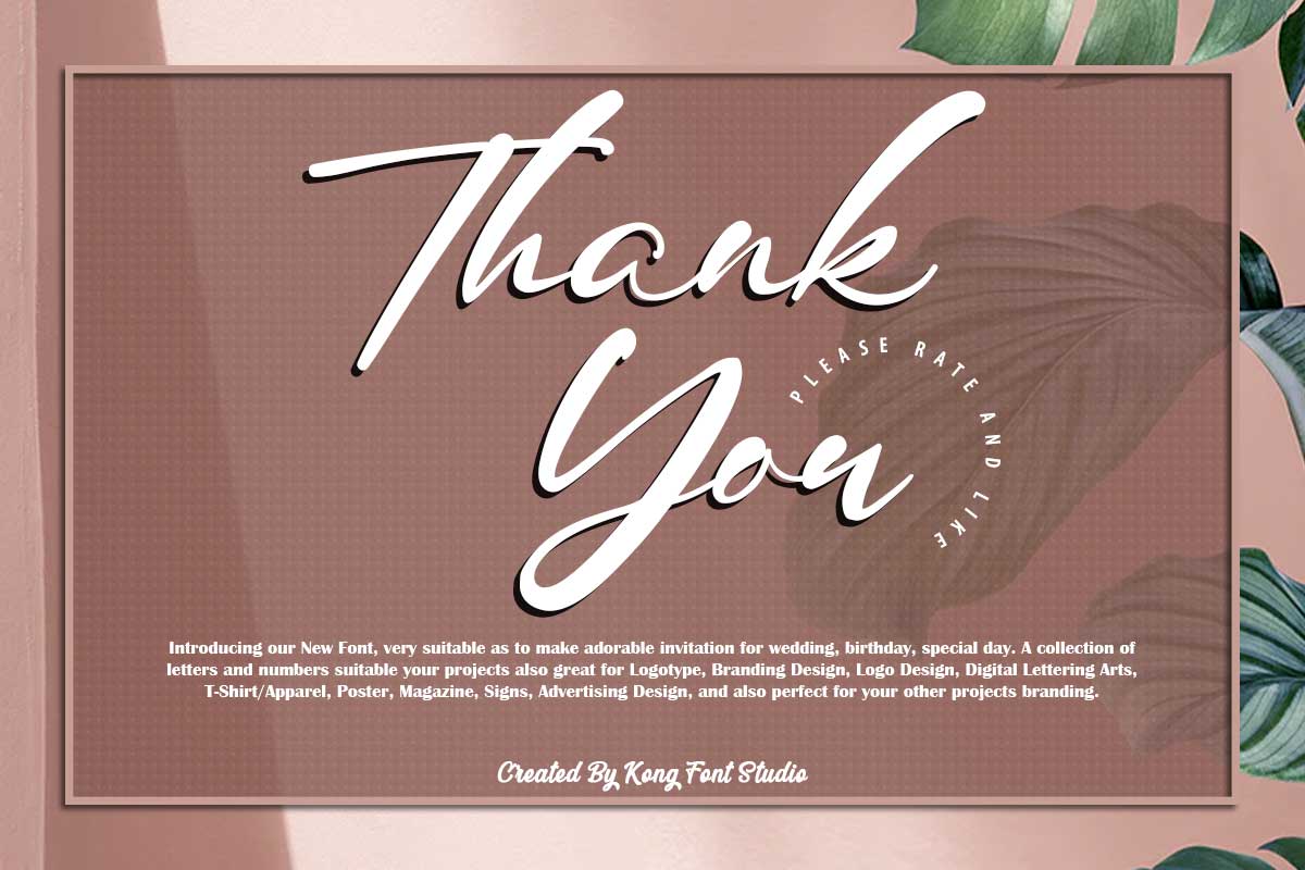 Julian Daniel Script Font - Image 11