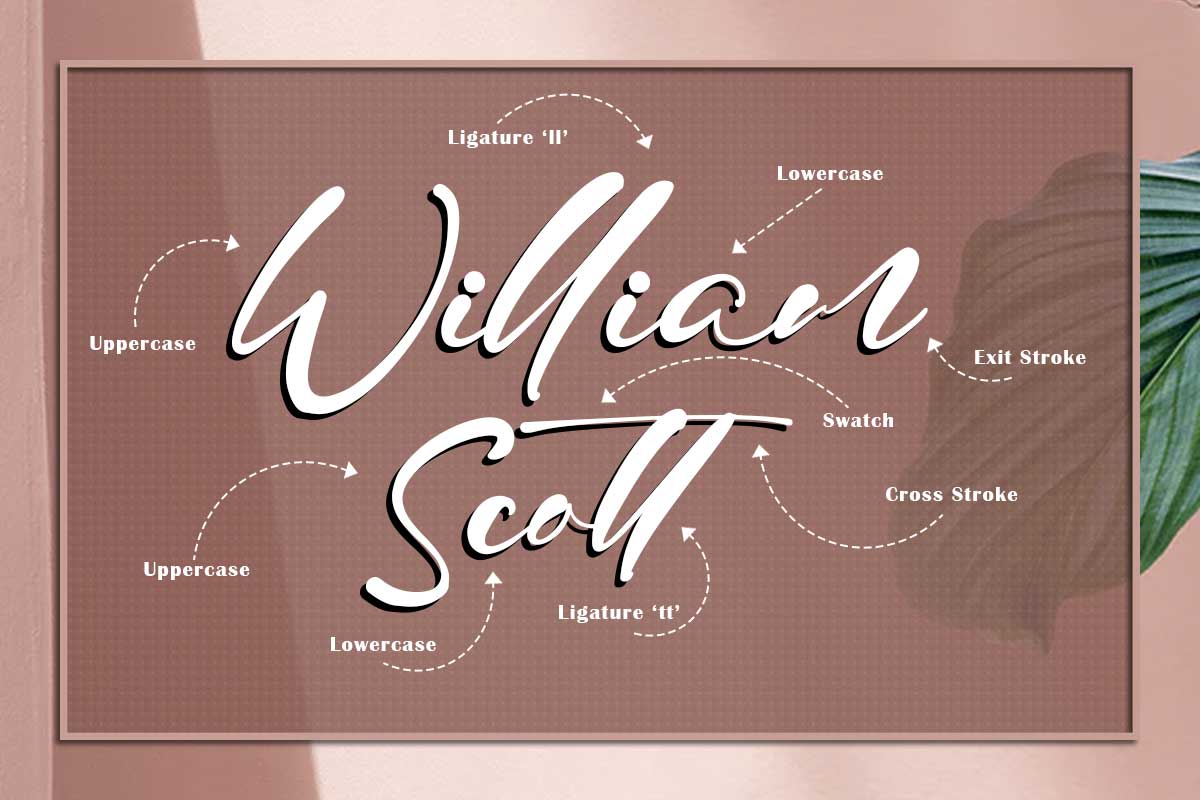 Julian Daniel Script Font - Image 3