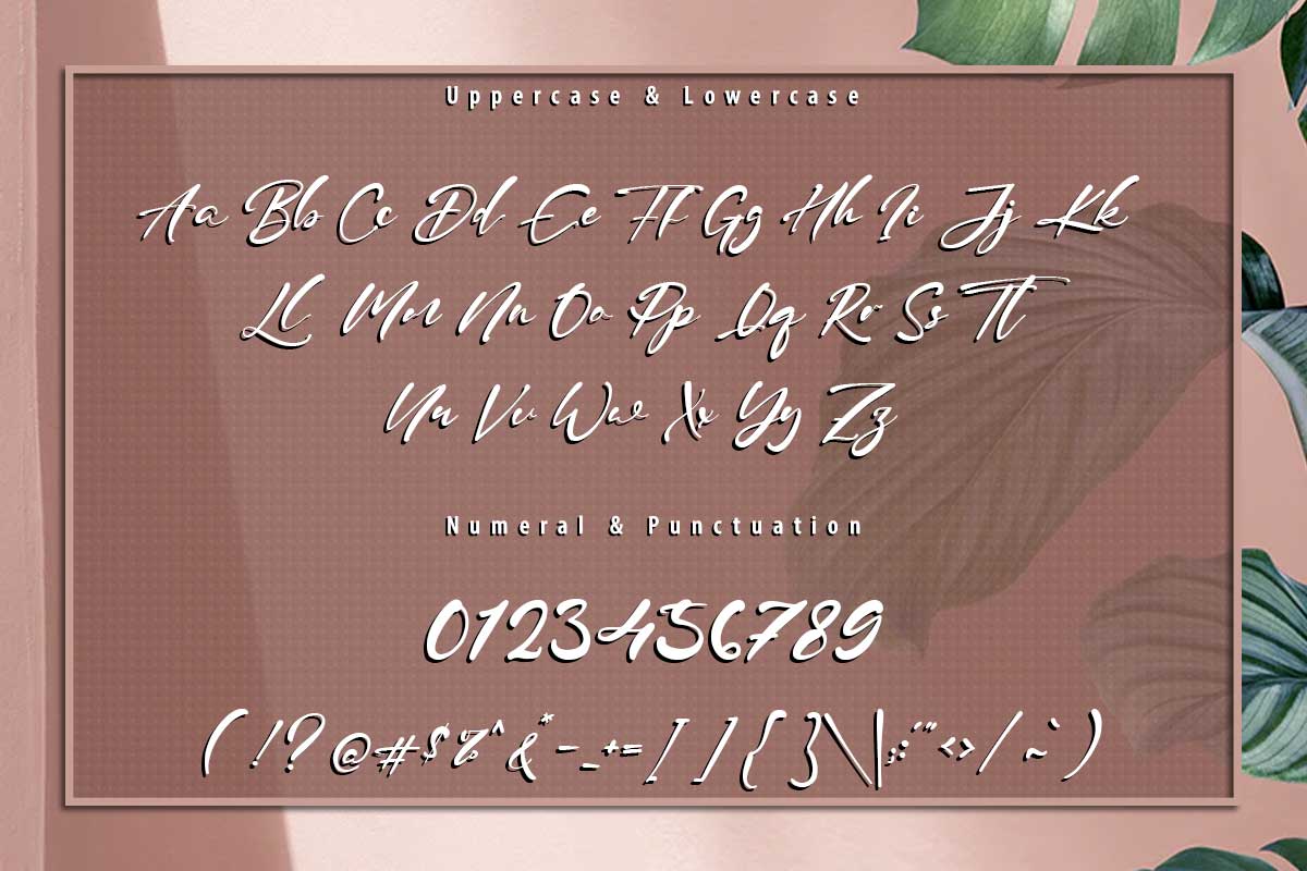 Julian Daniel Script Font - Image 9