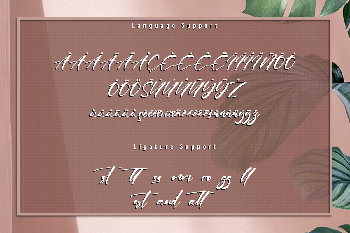 Julian Daniel Script Font - Image 10