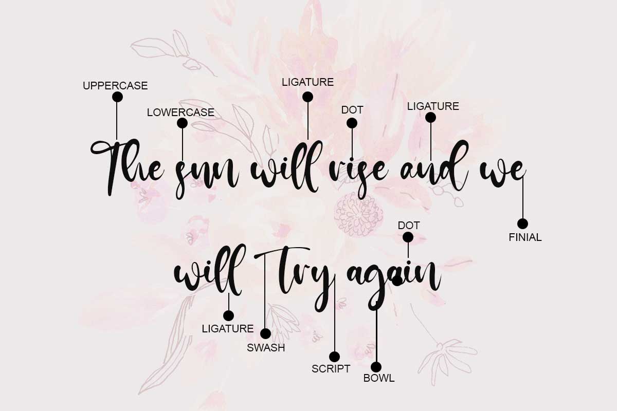 Jullia Vella Script Font - Image 3