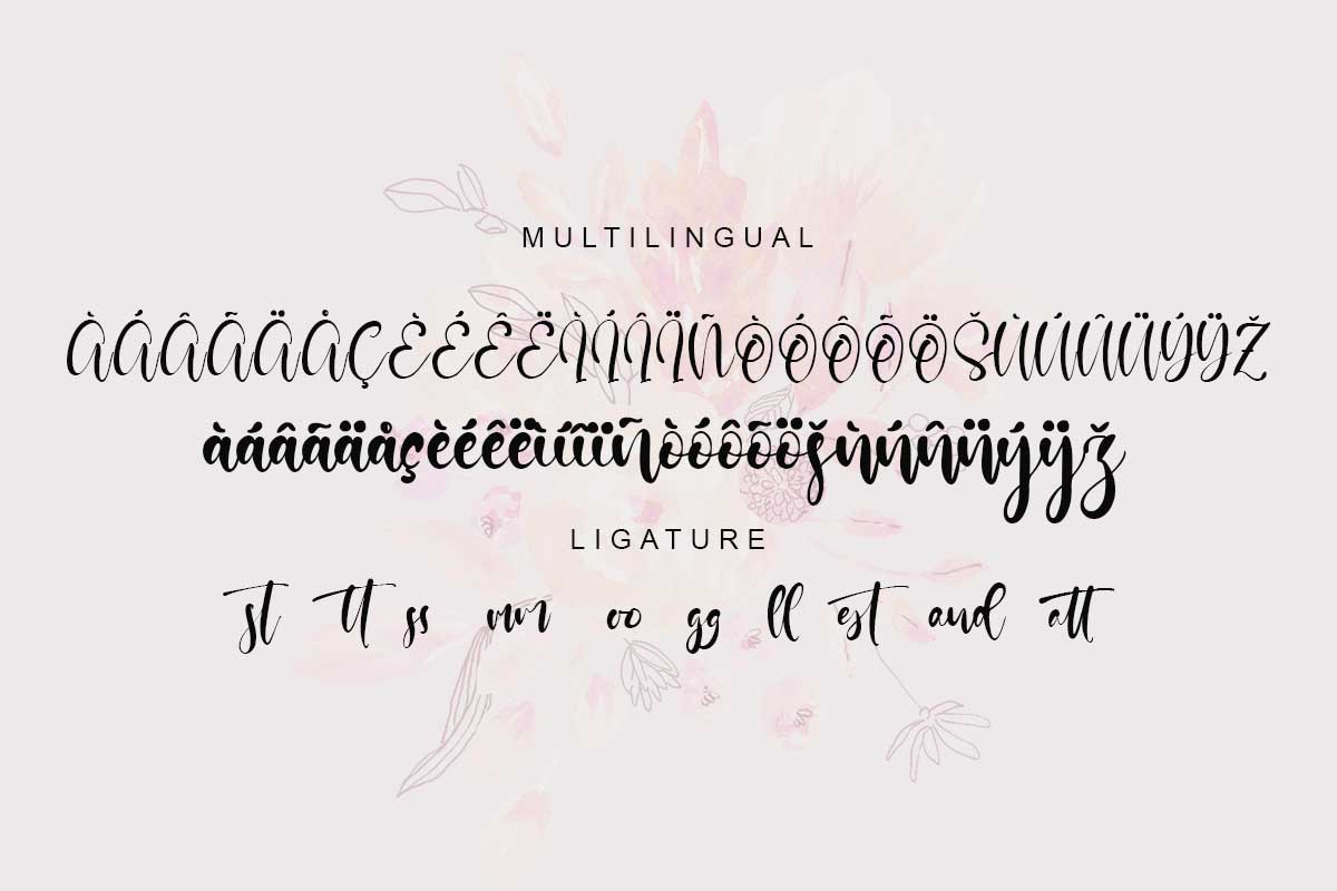 Jullia Vella Script Font - Image 10
