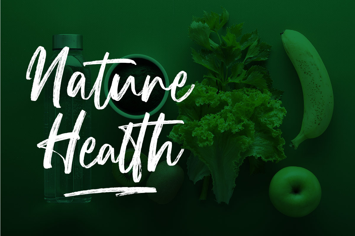 Lestari Handwritten Brush Font - Image 5