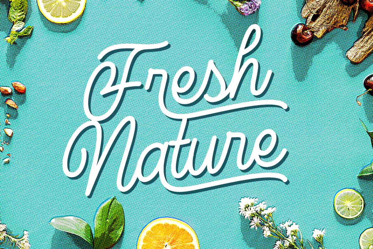 Marcellas Monoline Script Font - Image 5