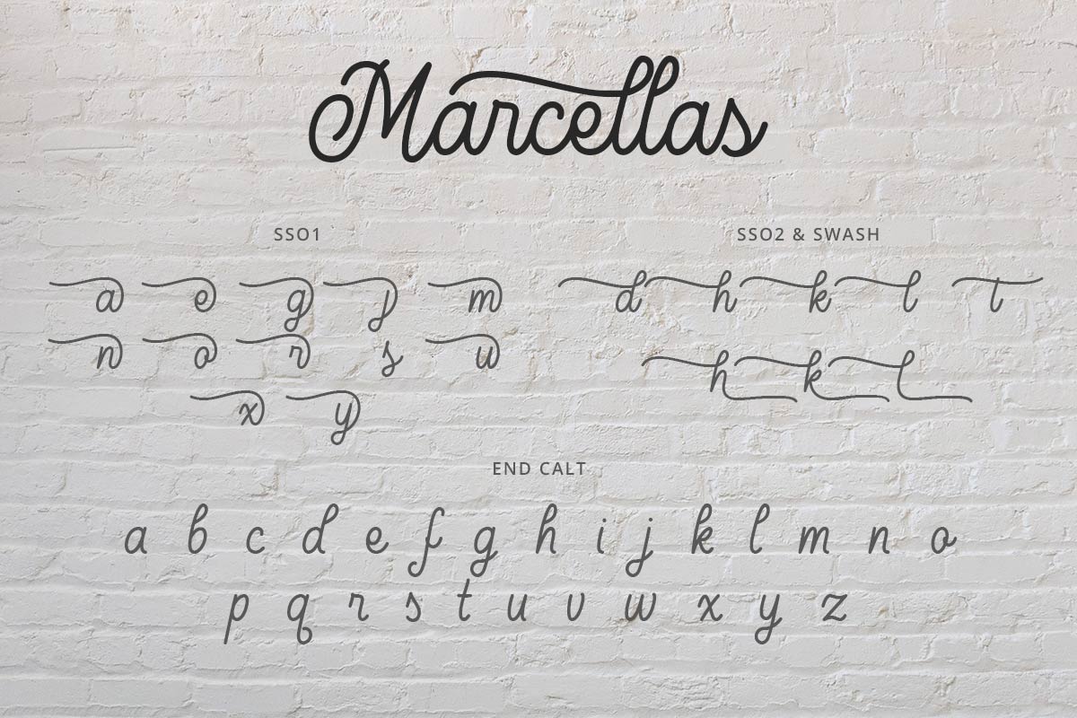 Marcellas Monoline Script Font - Image 8