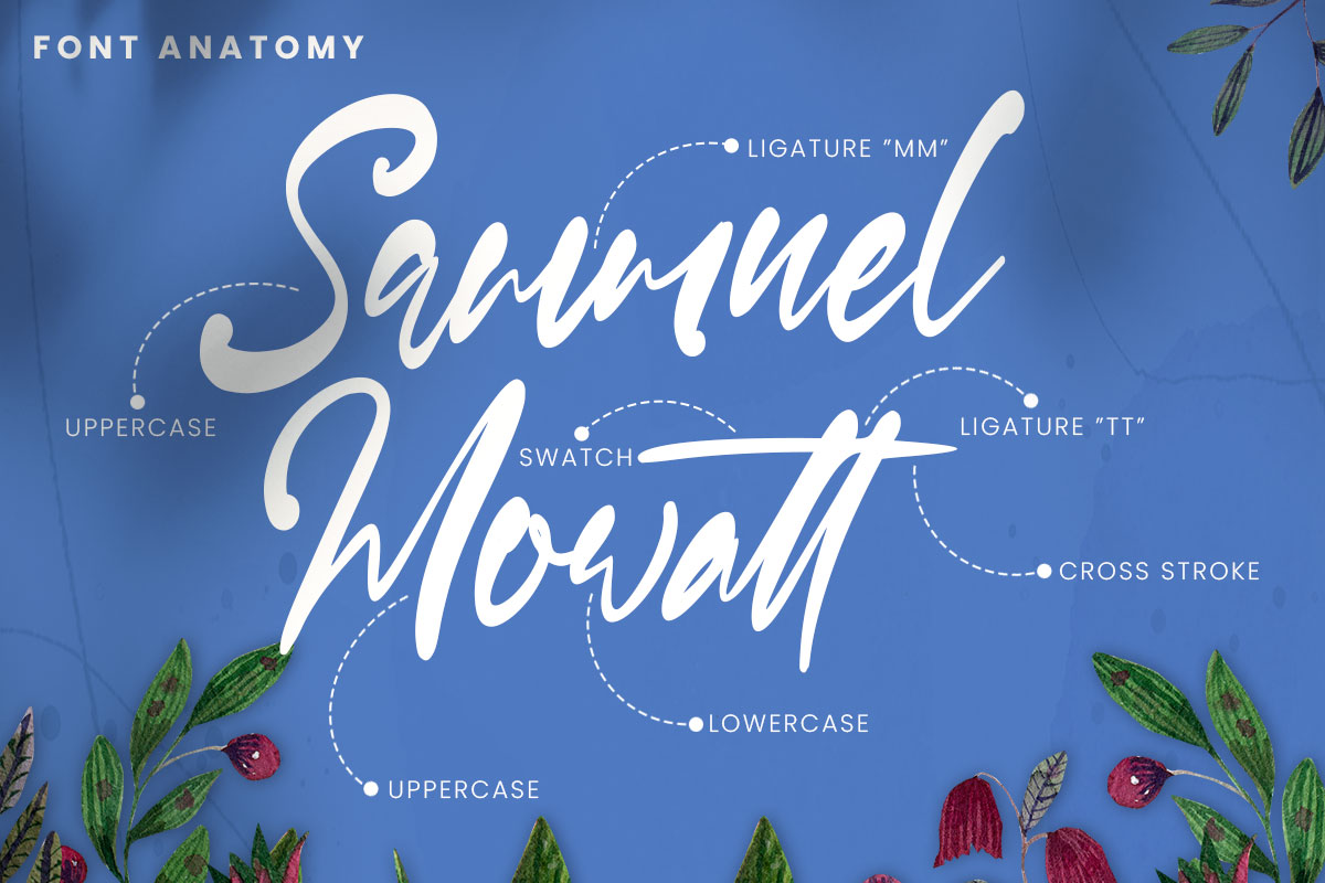 Mario Emma Modern Script Font - Image 3