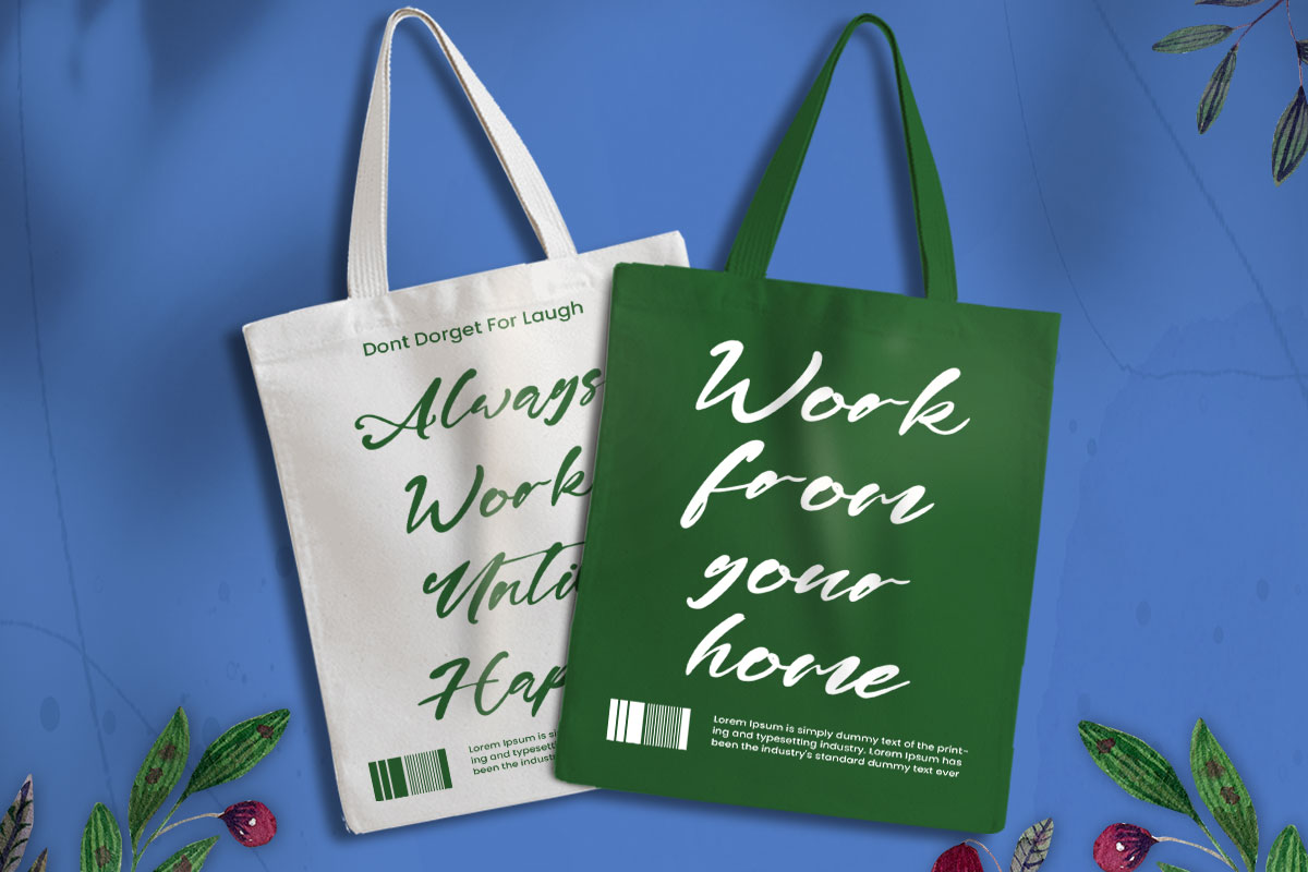 Mario Emma Modern Script Font - Image 7