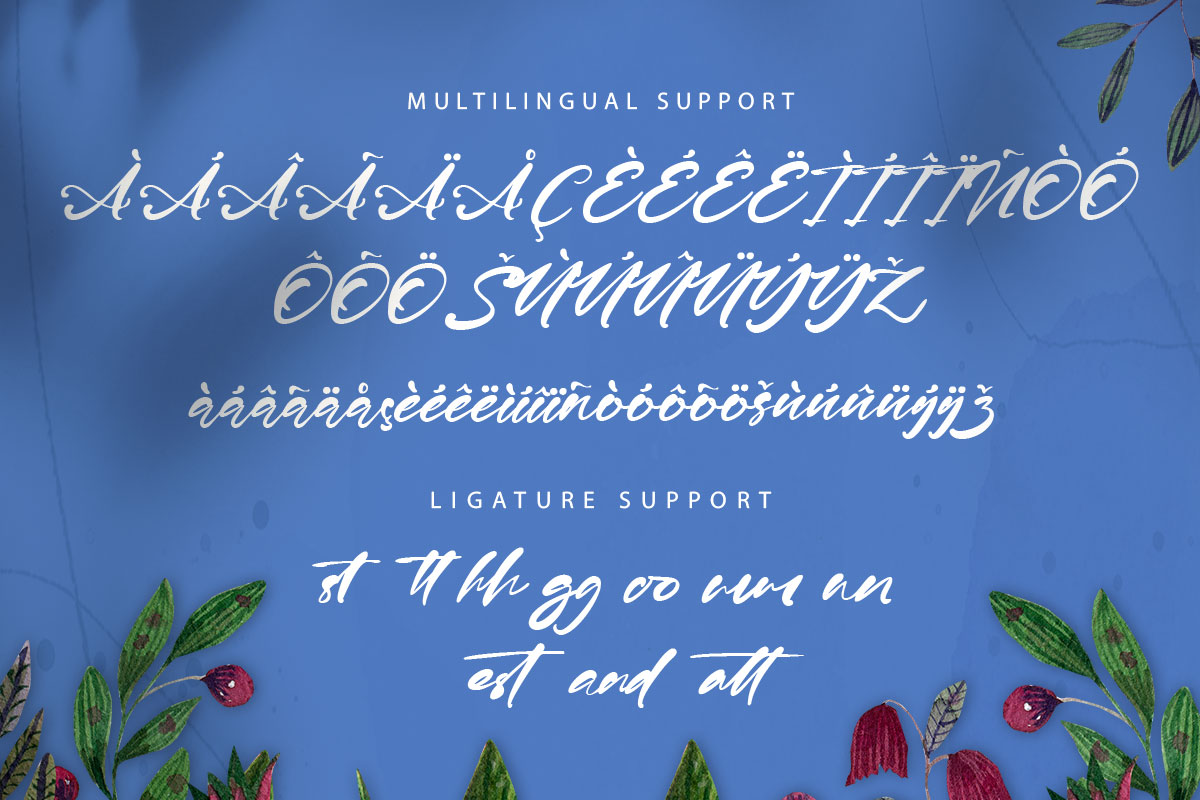 Mario Emma Modern Script Font - Image 10