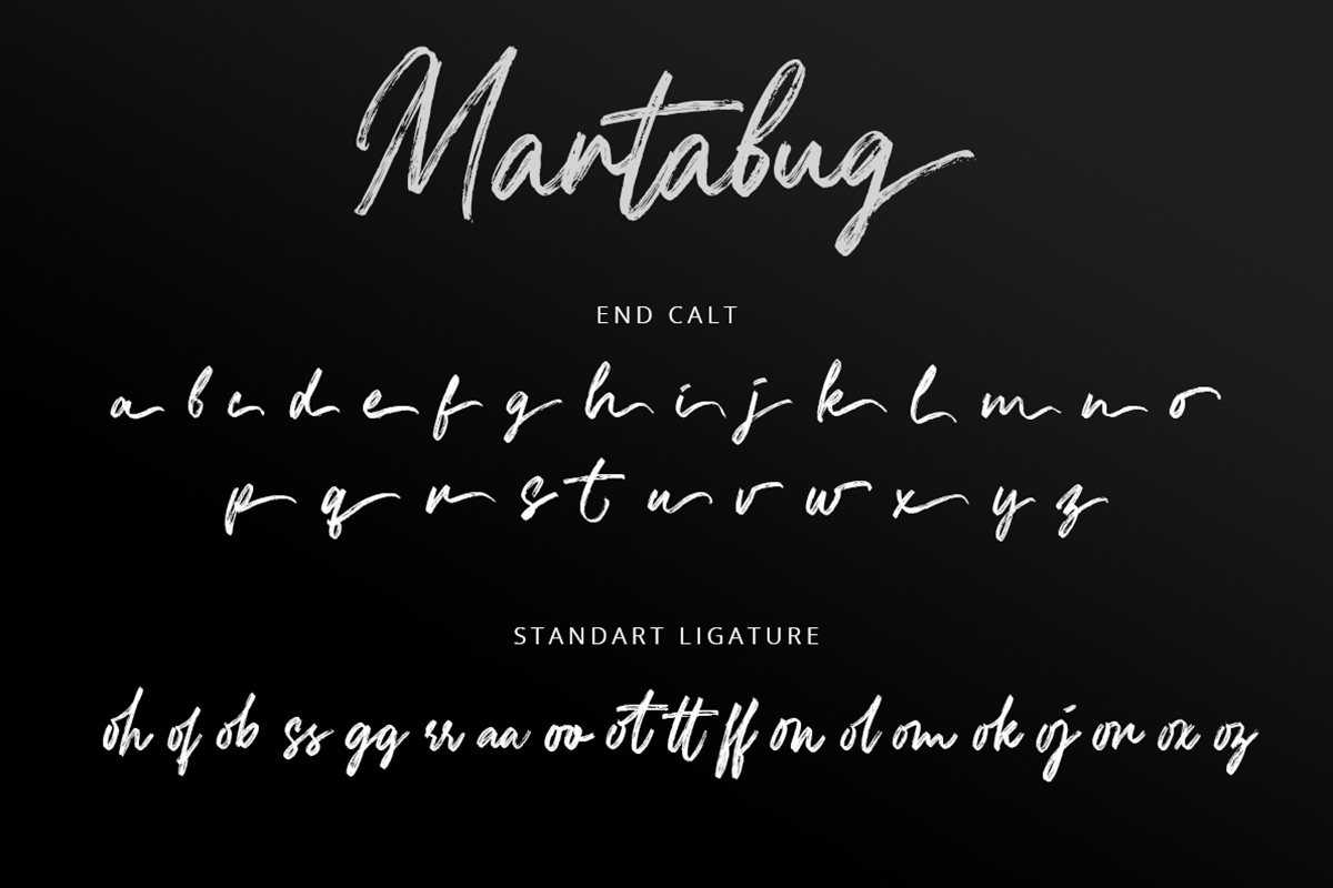 Martabug Handwritten Brush Font - Image 9