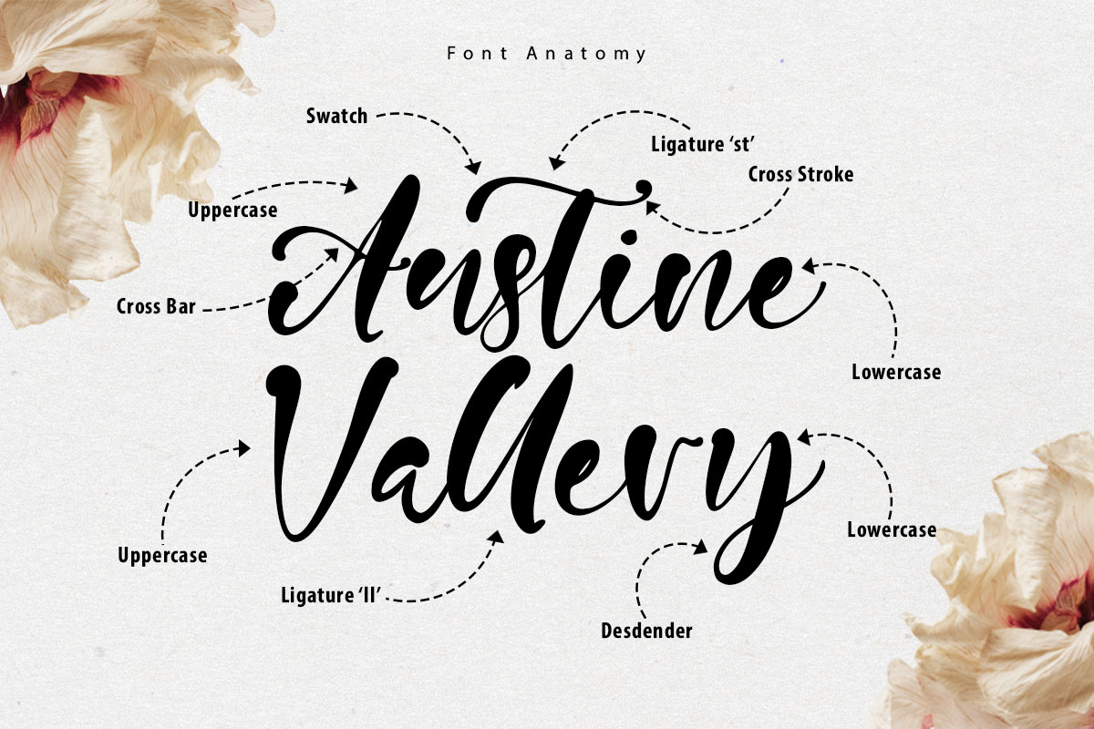 Nelville Modern Script Font - Image 3