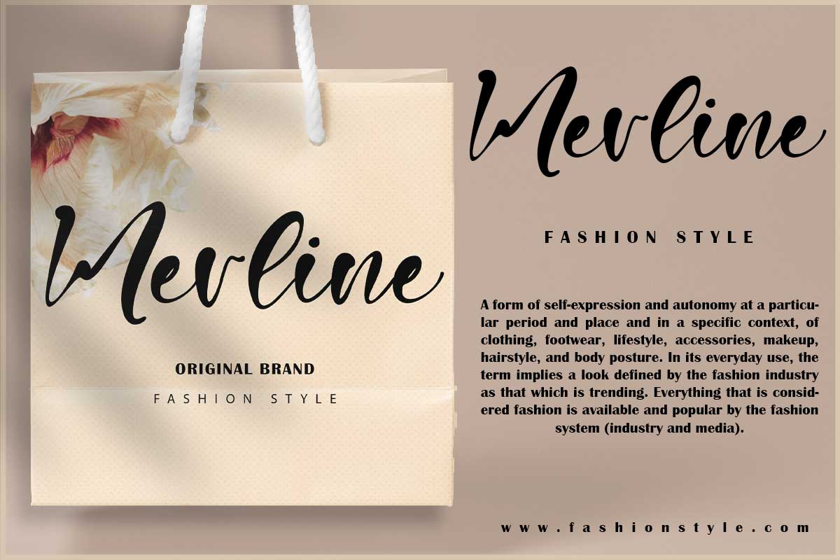 Nelville Modern Script Font - Image 5