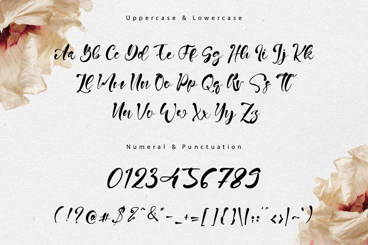 Nelville Modern Script Font - Image 9