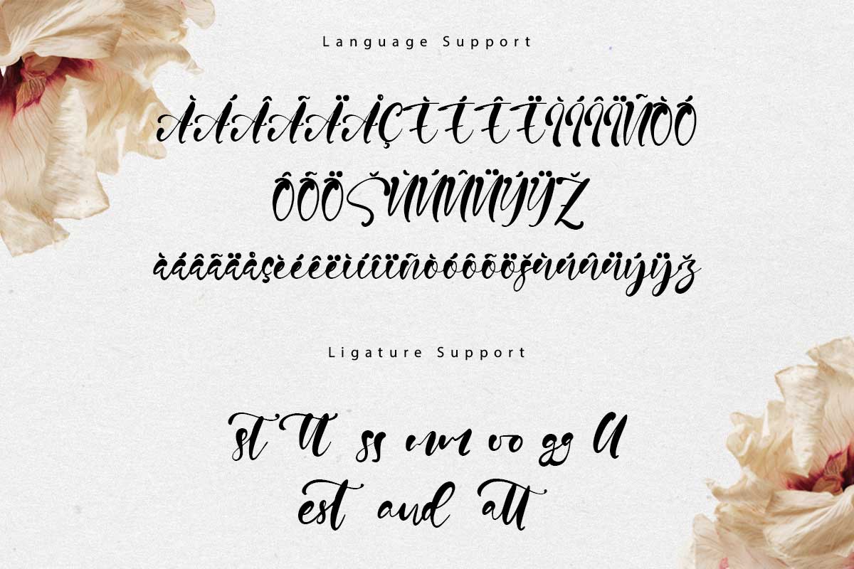 Nelville Modern Script Font - Image 10