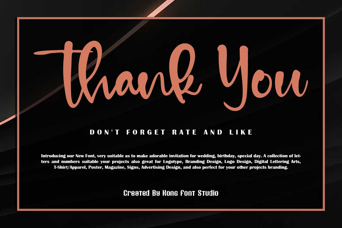 Nico Alex Handwritten Font - Image 11