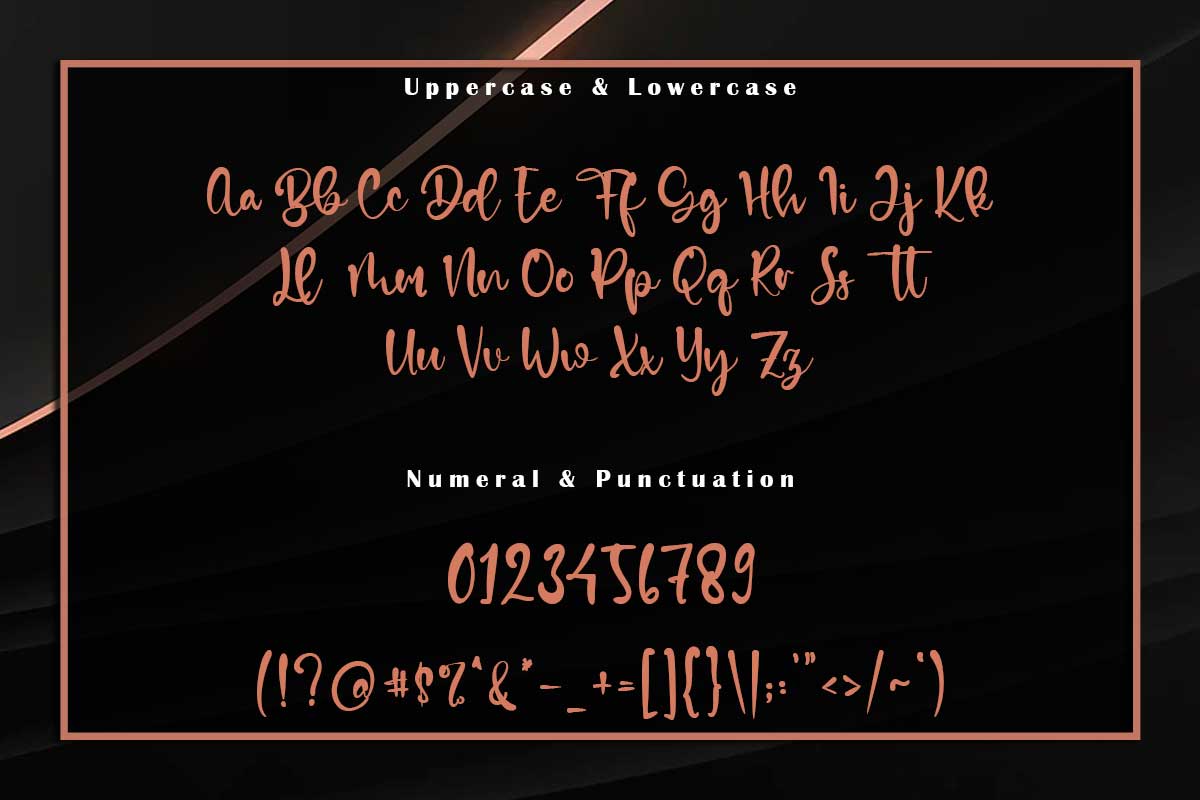 Nico Alex Handwritten Font - Image 9