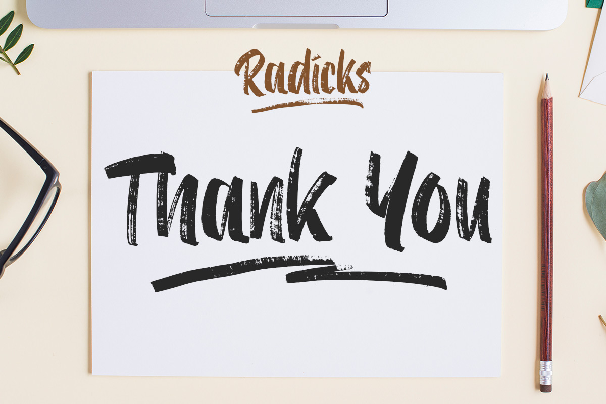 Radicks Handwritten Rough Font - Image 9