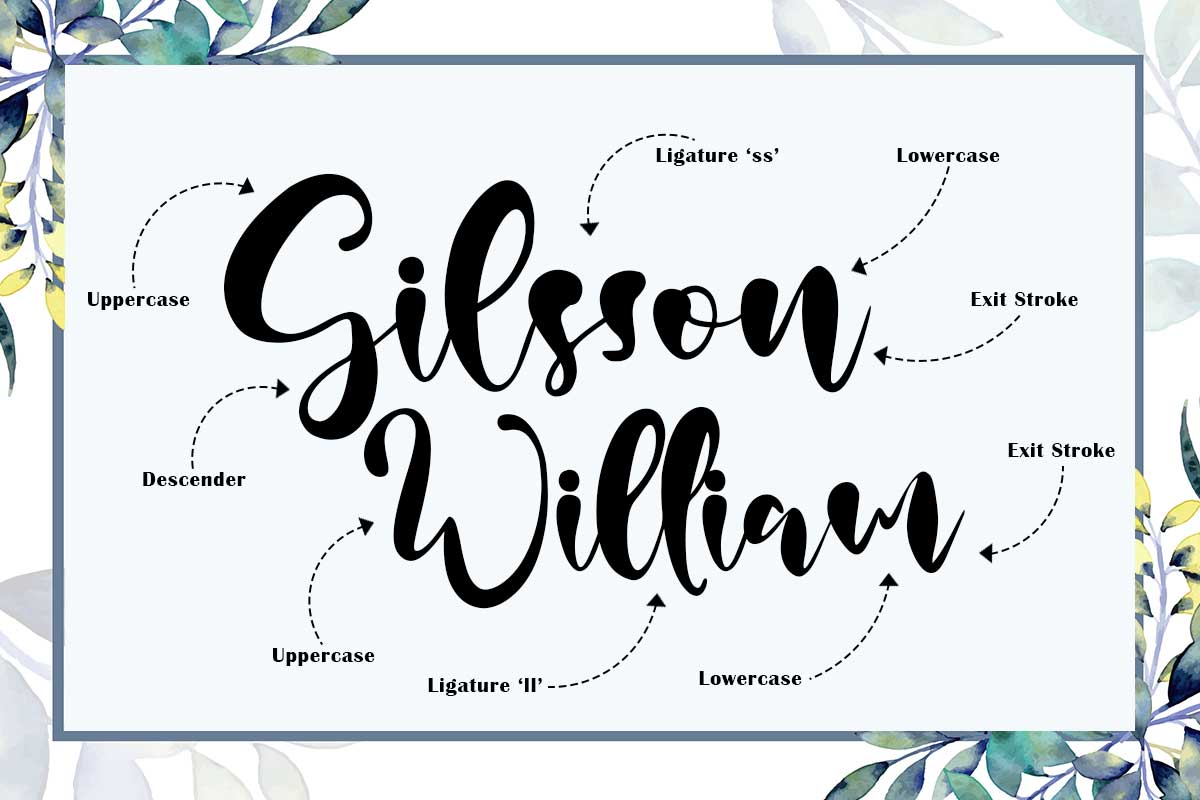 Rain Lily Handwritten Script Font - Image 3