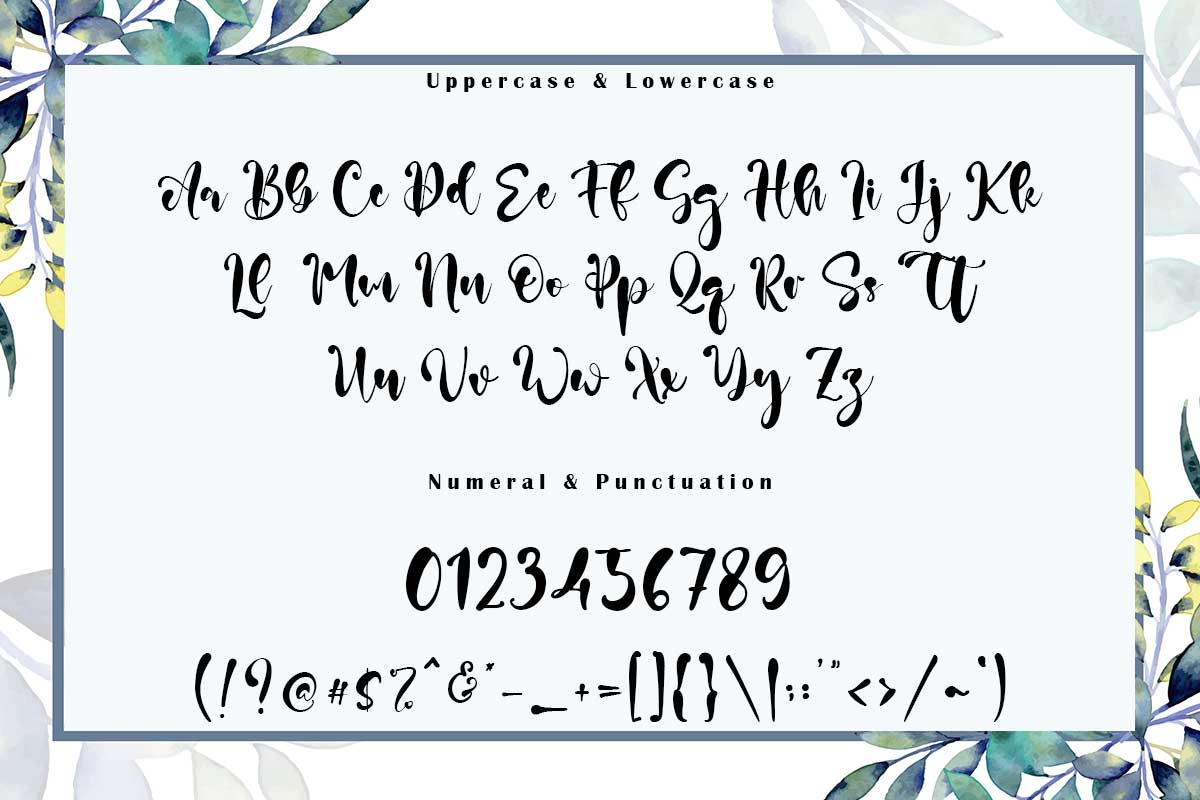 Rain Lily Handwritten Script Font - Image 9