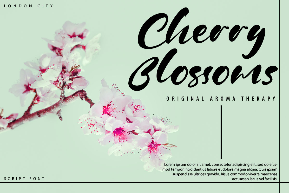 Ritta Kelly Modern Script Font - Image 4