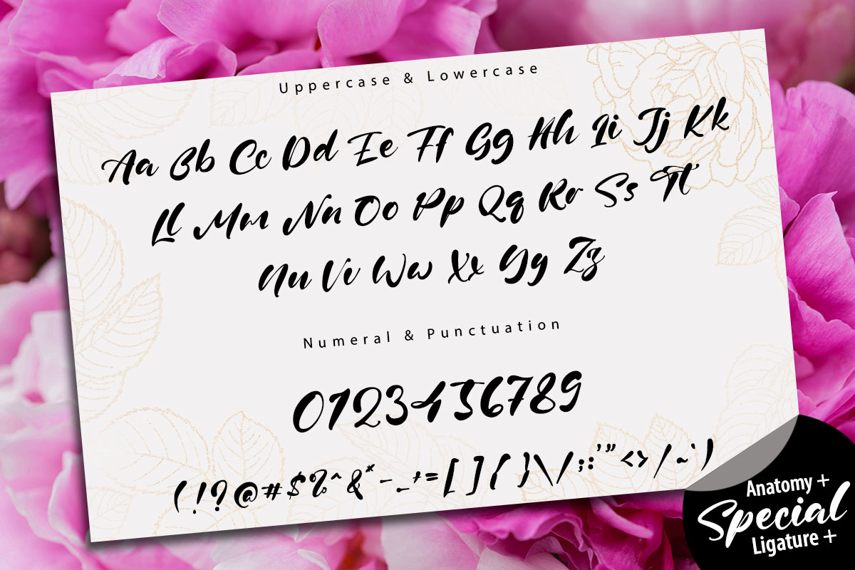 Ritta Kelly Modern Script Font - Image 9