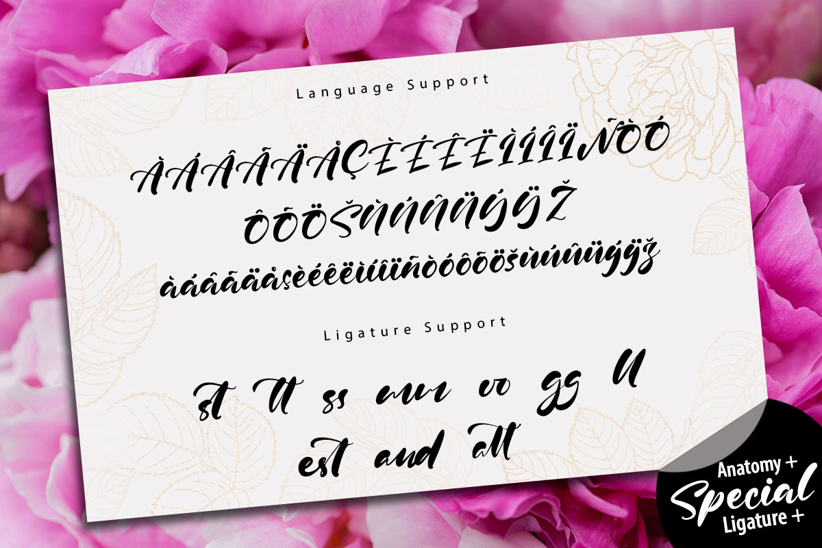 Ritta Kelly Modern Script Font - Image 10