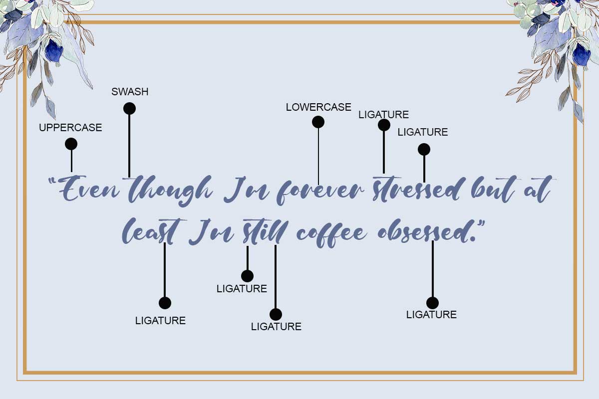 Robin Vera Script Font - Image 3