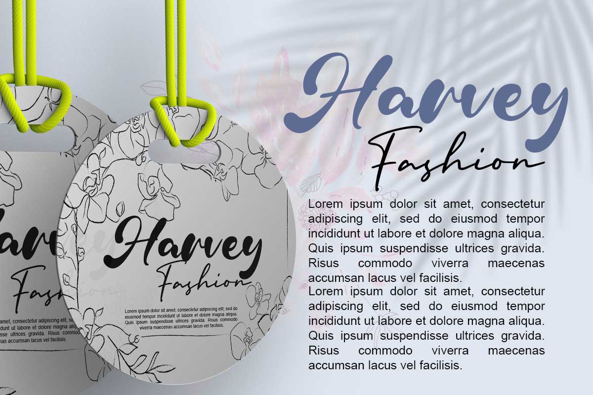 Robin Vera Script Font - Image 6