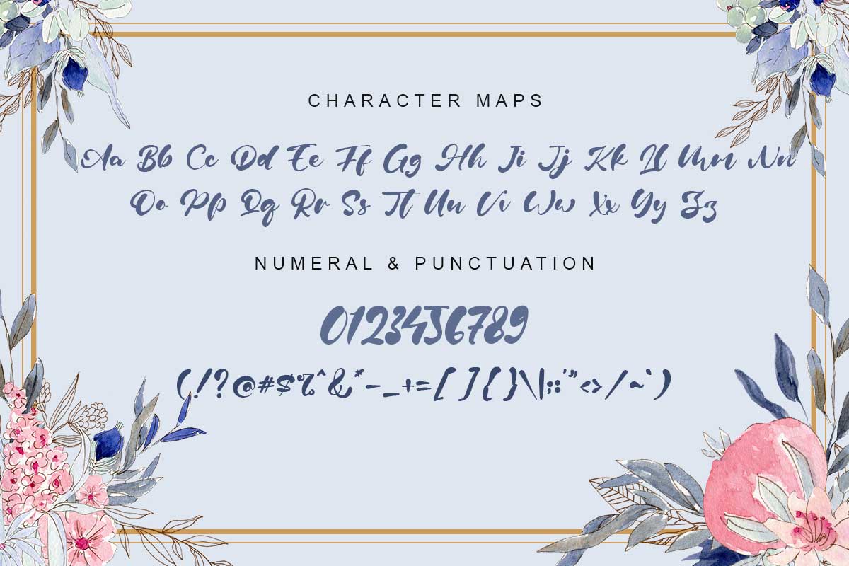 Robin Vera Script Font - Image 9