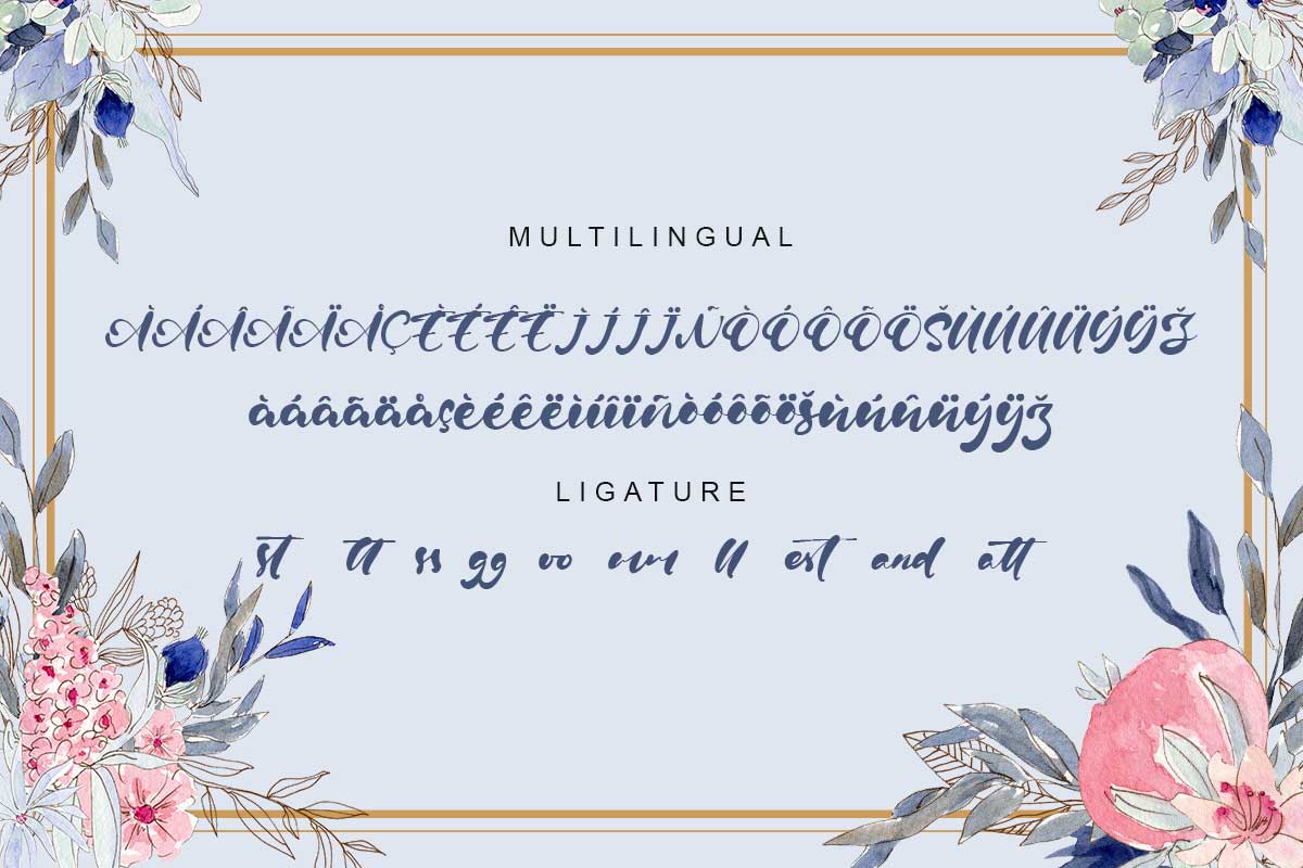 Robin Vera Script Font - Image 10