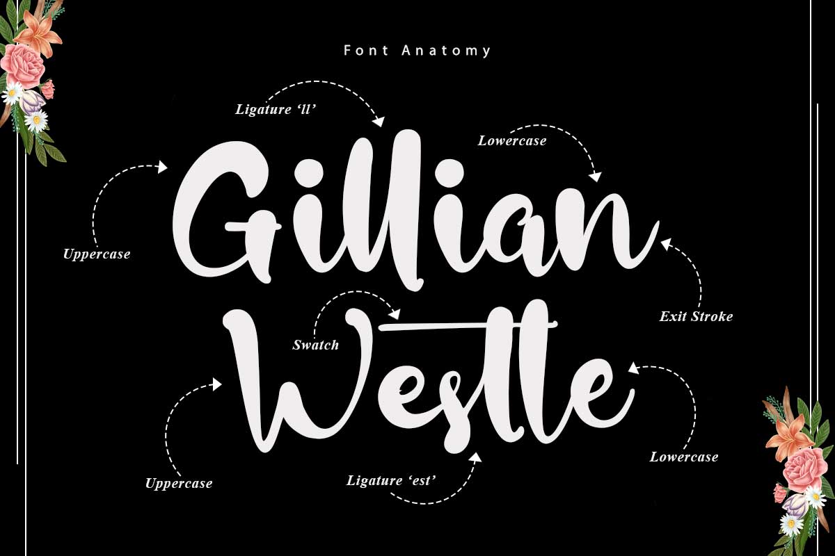 Sovia Billy Script Font - Image 3