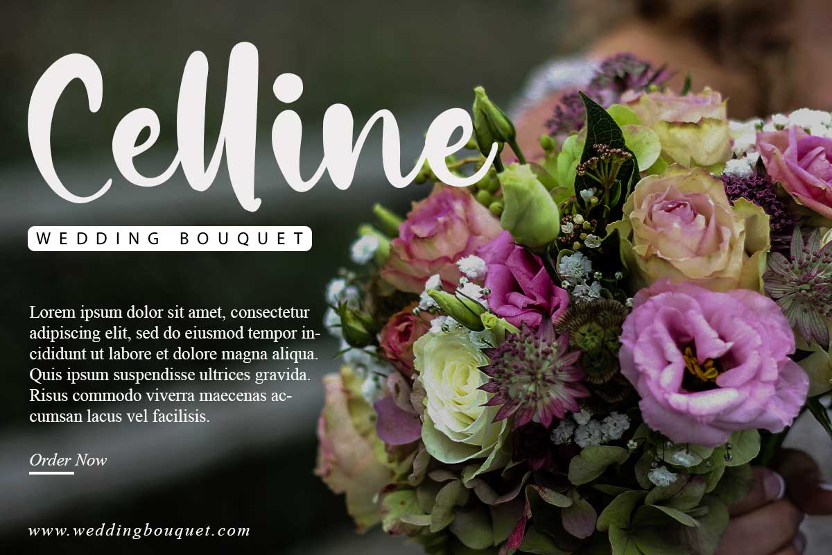 Sovia Billy Script Font - Image 4