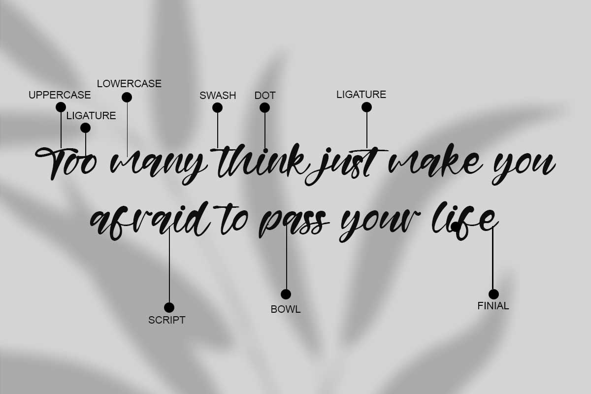 Windy Allan - Image 3